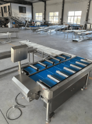 正通过持续立异为全球食物工业注入