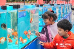 墨色浓沉；陈龙认